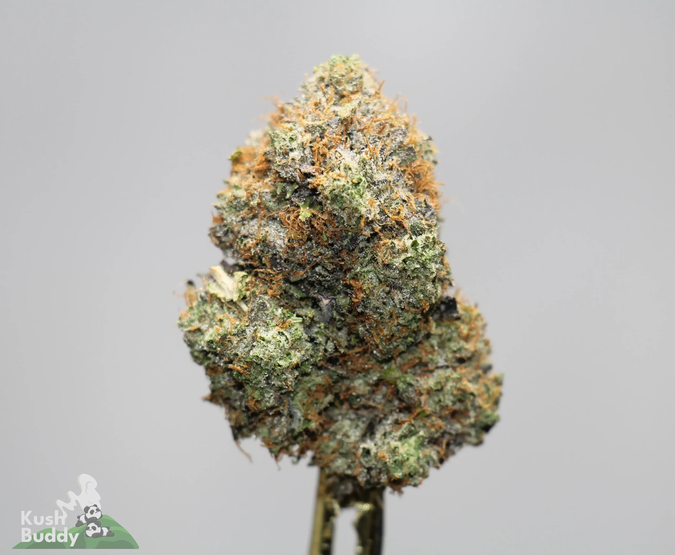 Macro close-up of a cannabis bud with frosty trichomes and orange pistils.