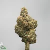Close-up of a cannabis bud with frosty trichomes and orange hairs against a gray backdrop, mounted on a stem.