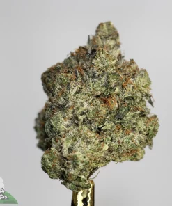 Black Series - Comatose OG