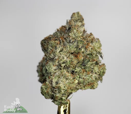 Black Series - Bulk - Comatose OG