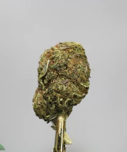 Close-up of a green cannabis bud mounted on a gold stem, with a Kush Buddy logo in the bottom-left corner.