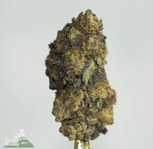 (AAAA) Mandarin Cookies x Runtz