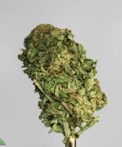 OG Kush Strain – Buy Weed Online