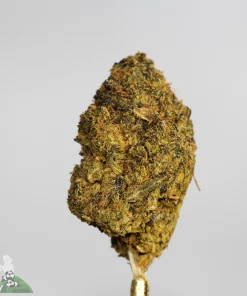 (AAA-) Peanut Butter Breath - Image 2