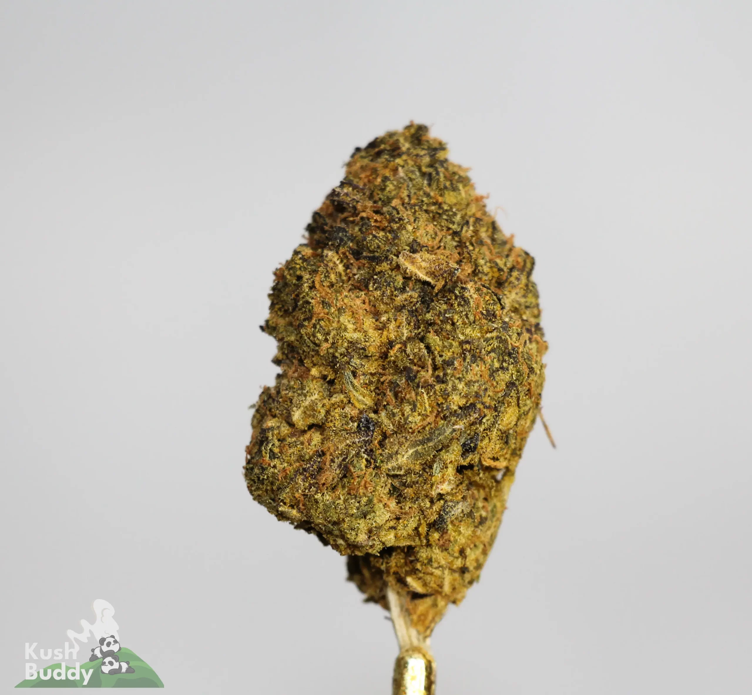 (AAA-) Peanut Butter Breath - Image 2