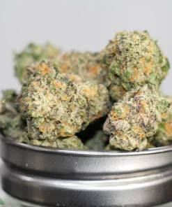 Black Series - Slurricane x Purple Punch Smalls - Image 2