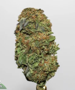 akb - blue cheese - jan24 1