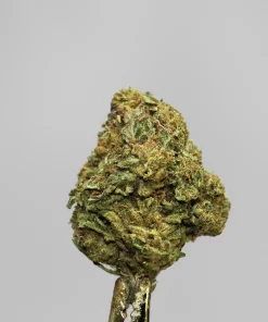 Close-up of a green cannabis Bud with frosty crystals and orange hairs against a light gray background (Kush Buddy watermark).