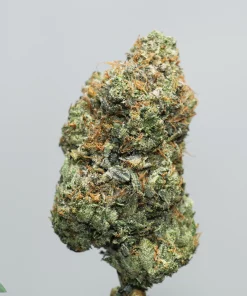 Close-up of a frosty cannabis bud with dense trichomes and orange pistils, logo visible in bottom-left corner.