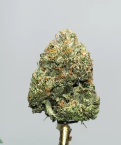 Close-up of a frosty cannabis bud with orange pistils against a pale background, watermark reading 'Kush Buddy' in the corner