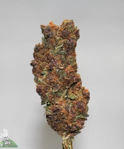 (AAA+) Grape Ape - Image 2