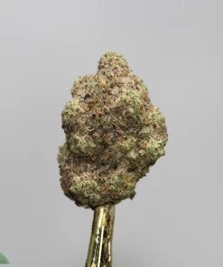 Close-up of a frosty cannabis bud on a gold dab tool against a plain light gray background.