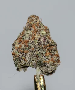 Black Series - Peanut Butter Breath