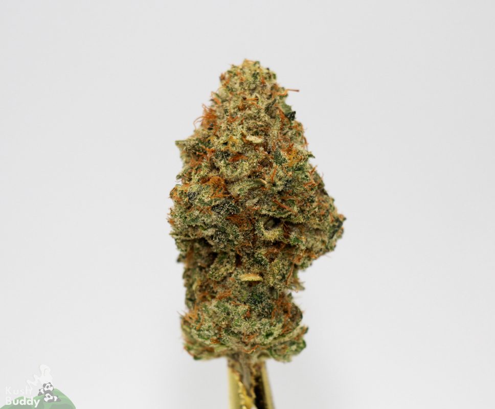 Buy Peanut Butter Breath Online Weed Strain Kush Buddy