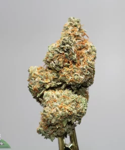 Close-up of a frosty cannabis bud with orange hairs on a stem, set against a gray background (Kush Buddy watermark in bottom-left).