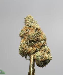 Close-up of a frosty cannabis bud on a gold-tinted smoking stem against a neutral gray background, with Kush Buddy logo in the corner.