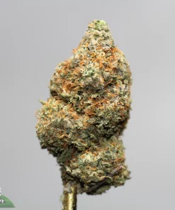 Close-up of a frosty cannabis bud with orange hairs against a gray background; Kush Buddy watermark bottom-left.