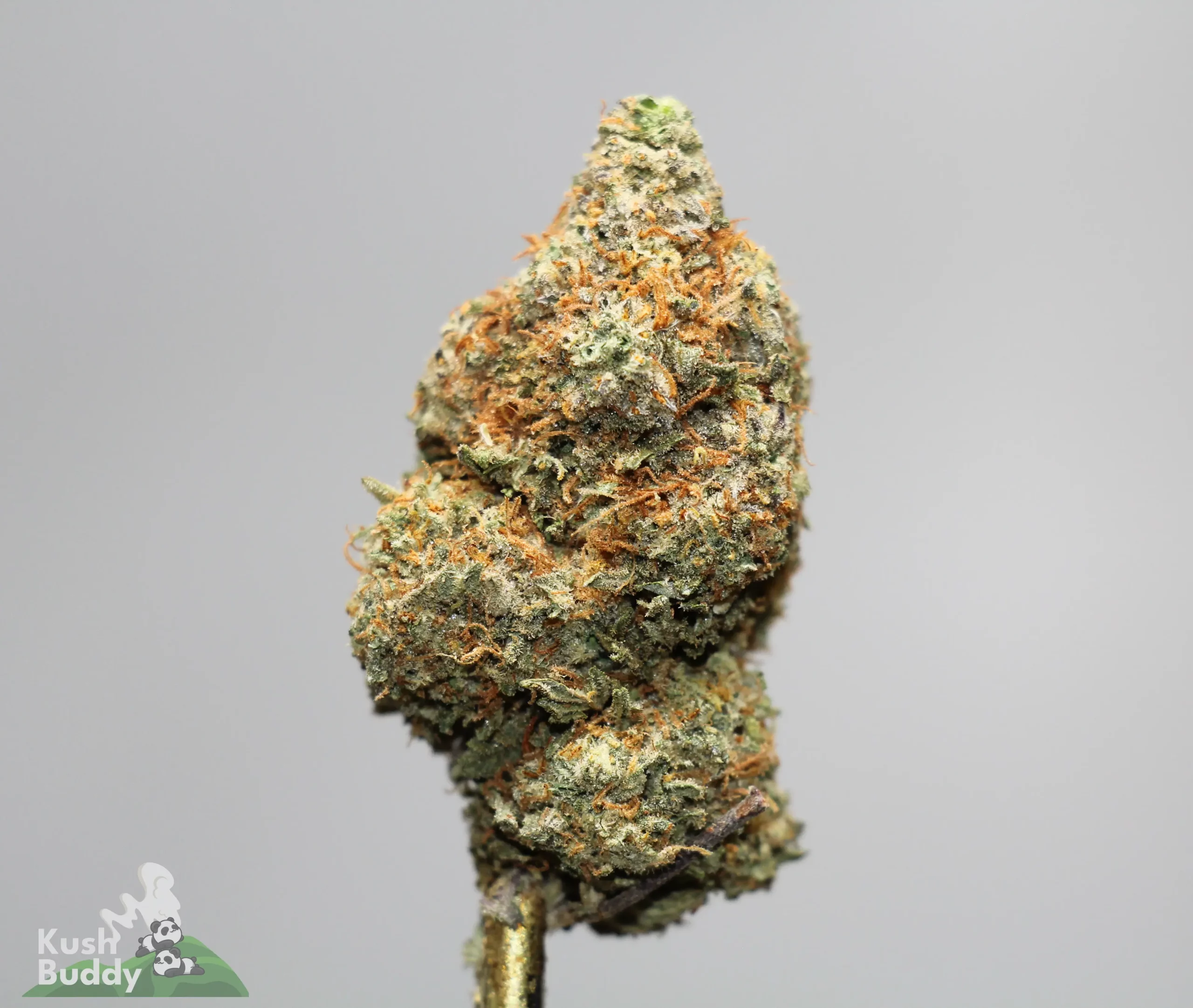 Source photograph: Peanut Butter Breath