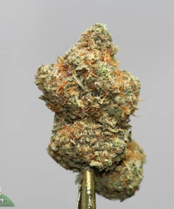 Close-up of a cannabis bud with frosty trichomes, orange hairs, and dense green clusters; Kush Buddy logo in bottom-left corner.
