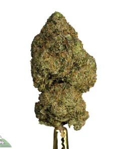 (AAAA-) Pineapple Diesel