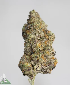 Black Series - Slurricane