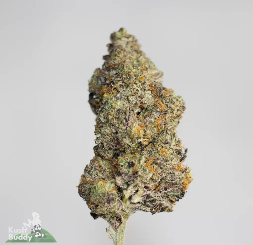 Black Series - Bulk - Slurricane