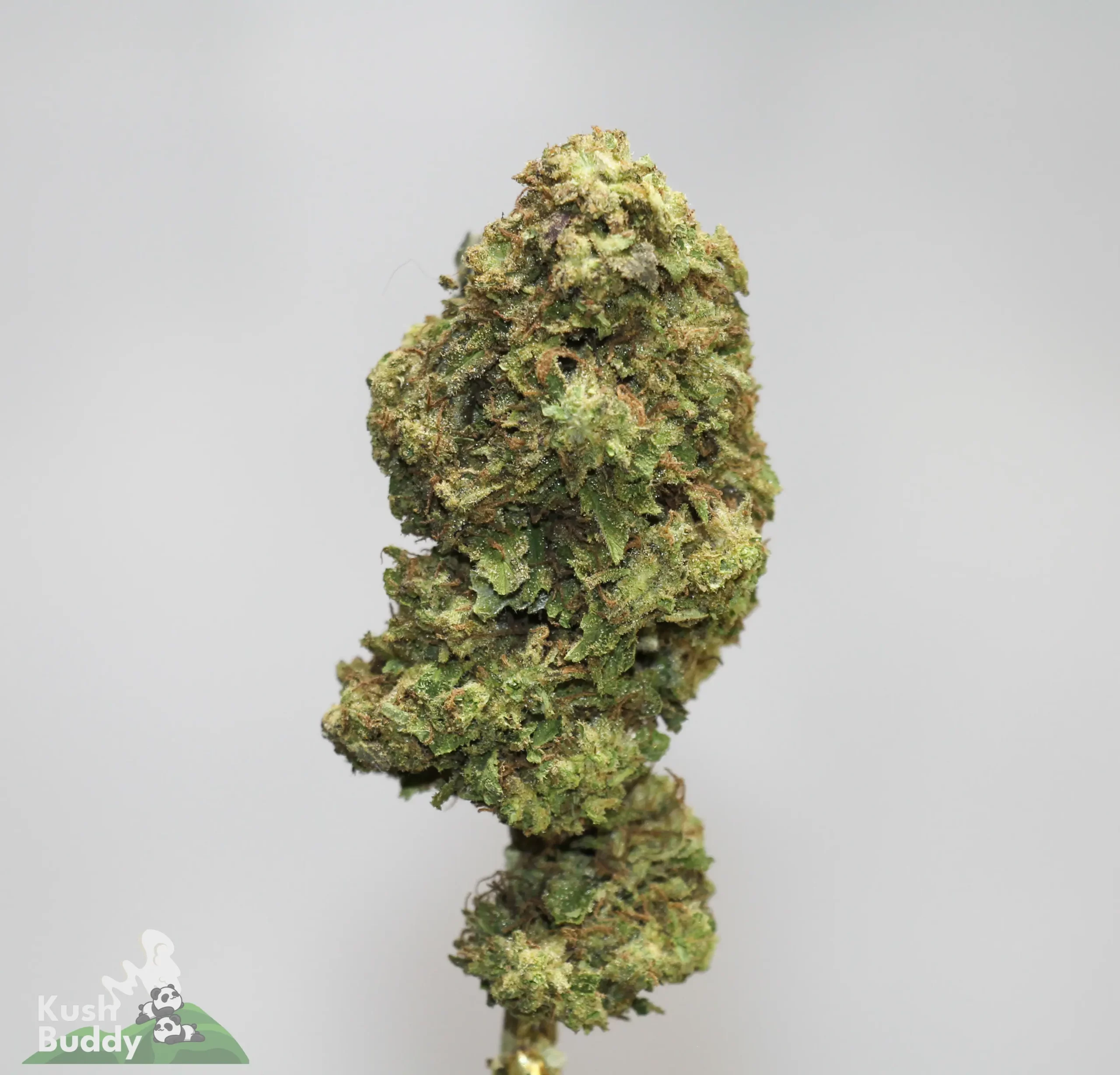 (AAA+) Super Lemon Haze