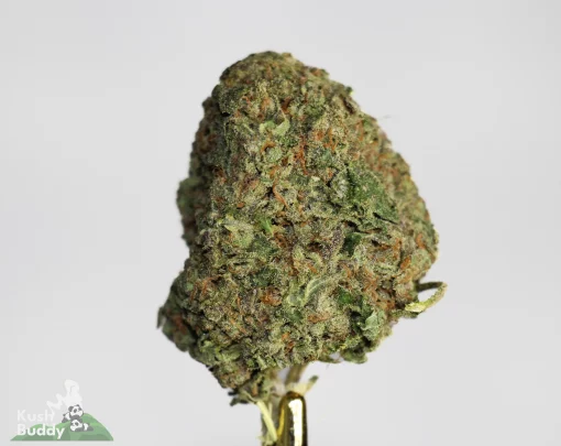 Weed dispensary near me
