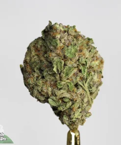 インポート極蜜] HHCH50%+CRD40% Full terpen SUPER LEMON HAZE
