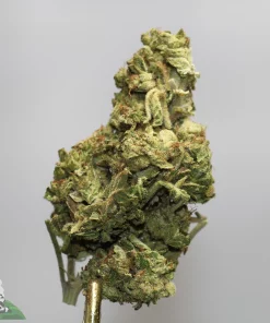 Close-up of a dense green cannabis bud covered in white trichomes on a stem against a gray background.