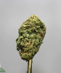 Close-up of a green cannabis bud with trichomes on a gold smoking implement against a light gray background; Kush Buddy logo bottom left.