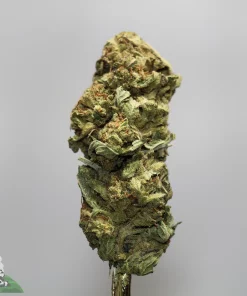 Close-up of a cannabis bud on a stem, covered in crystals, with a Kush Buddy watermark in the lower left corner