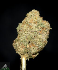 Black Series - Bulk - Mendo Breath - Image 2