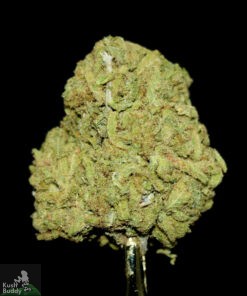 (AA+) Lemon Meringue