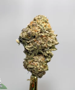 Close-up of a frosty cannabis bud with orange hairs on a stem, against a light gray background (Kush Buddy logo bottom left).