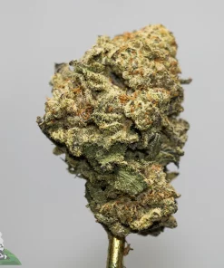 Close-up of a frosty cannabis bud with orange hairs and green leaves, watermark 'Kush Buddy' in the bottom-left corner.