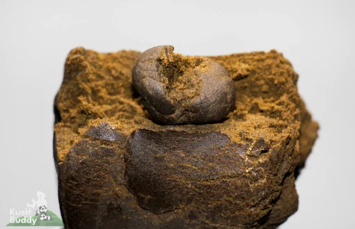 Nepalese Temple Ball Hash - Imported
