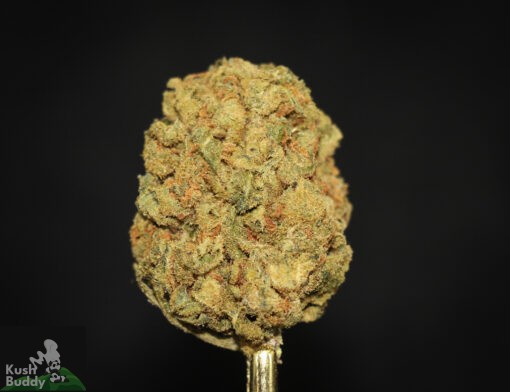 (AAA+) Peyote Cookies