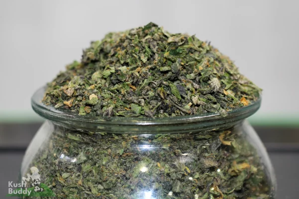 Black Series Elite Shake with mixed leaf and small flower material above a glass jar