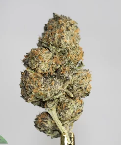 (AAAA) Banana Haze