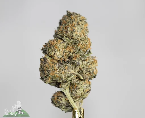 (AAAA) Banana Haze