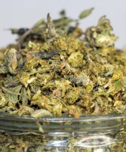 Black Series - Elite Shake - Grandaddy Purple x Grape Gas