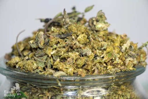 Black Series - Elite Shake - Grandaddy Purple x Grape Gas