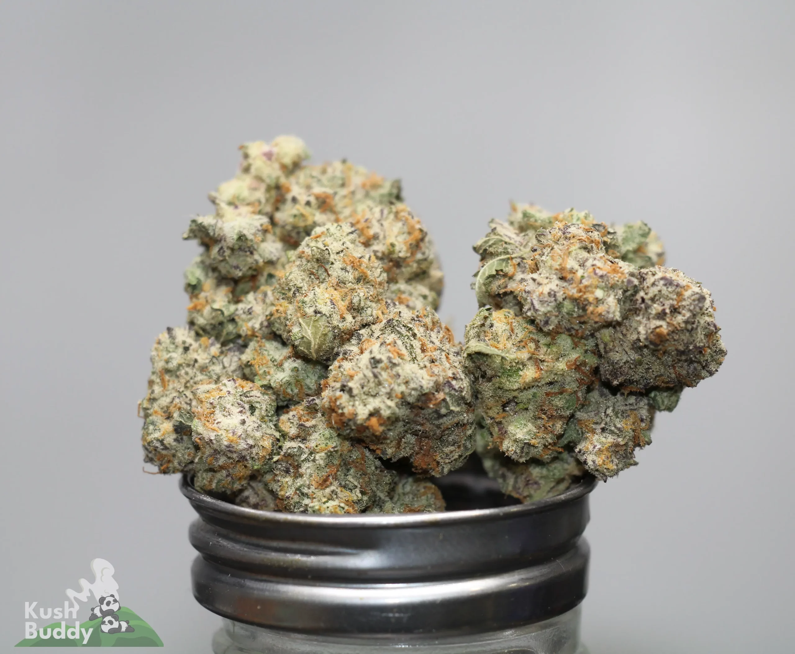 Close-up of densely frosty cannabis buds resting on a black grinder, with a Kush Buddy watermark in the corner.