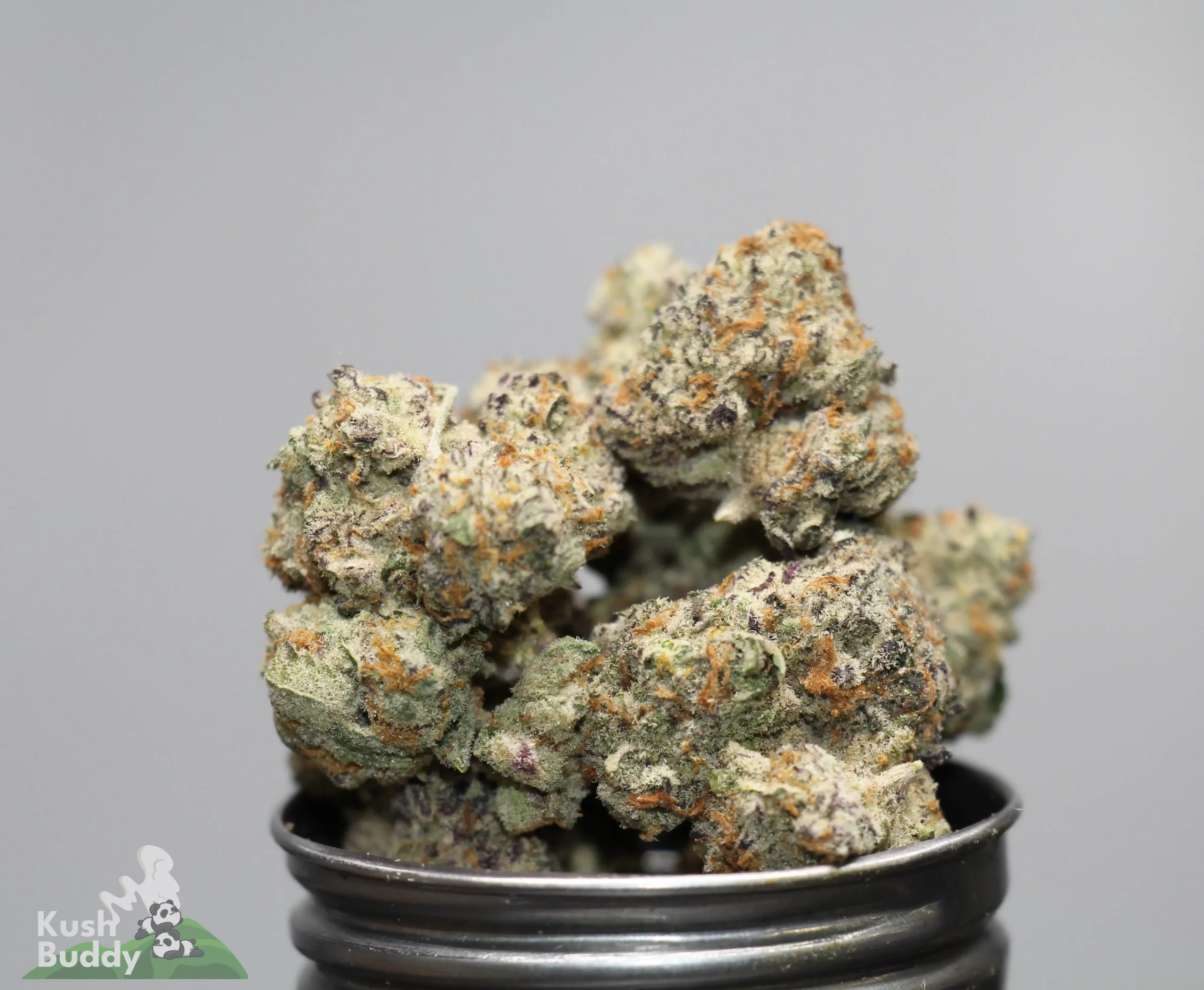 Close-up of frosty cannabis buds stacked in a metal grinder, with the Kush Buddy logo in the bottom-left corner.