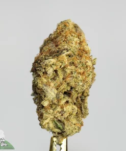 (AAAA - Bulk) Zkittlez - Image 3