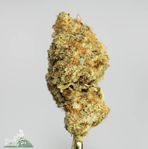 (AAAA - Bulk) Zkittlez