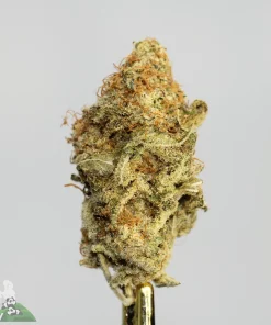 (AAAA - Bulk) Zkittlez - Image 2