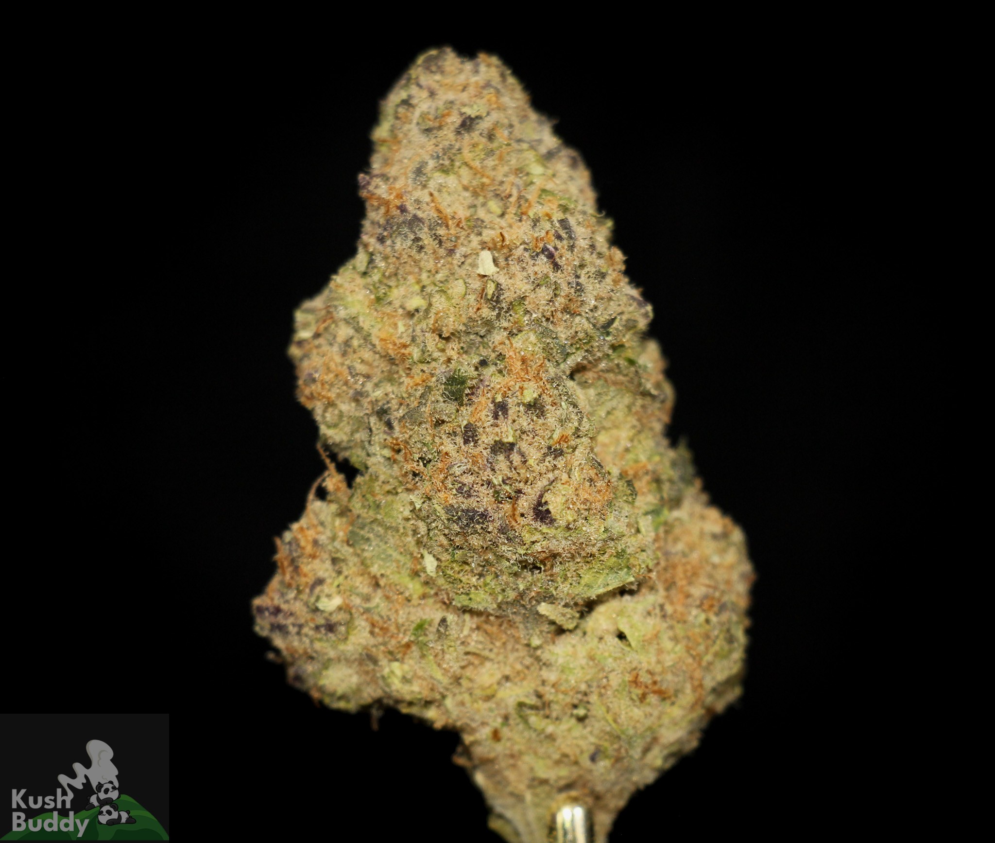 Black Series Banana Haze Buy Weed Online