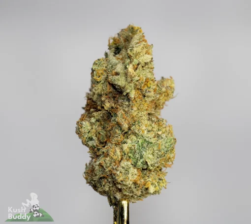 Black Series - Island Pink Kush